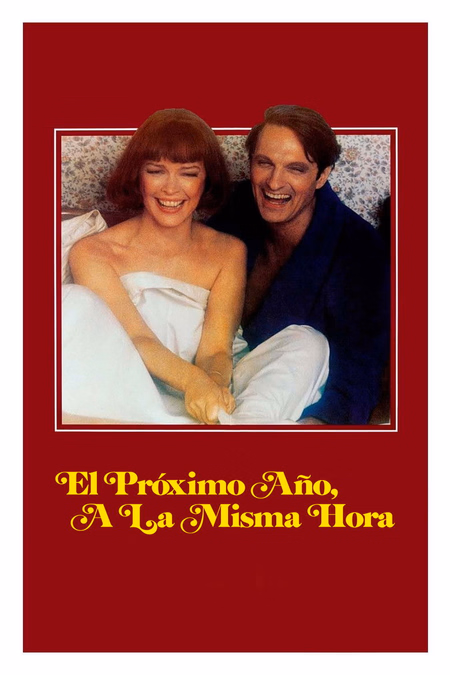 Póster de la película El próximo año, a la misma hora
