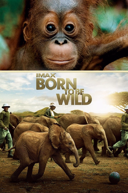 Póster de la película Born to Be Wild
