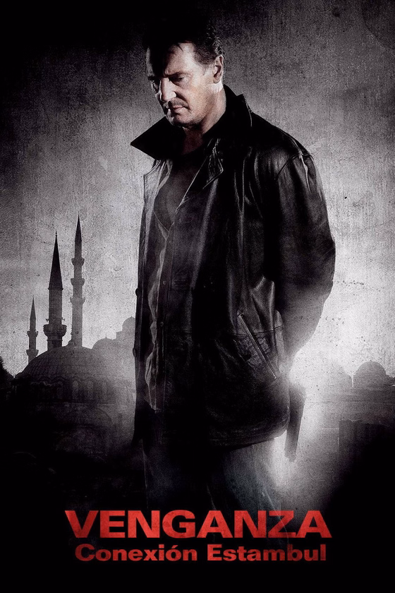 Póster de Venganza: Conexión Estambul
