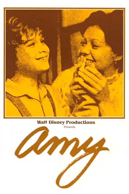 Póster de la película El secreto de Amy