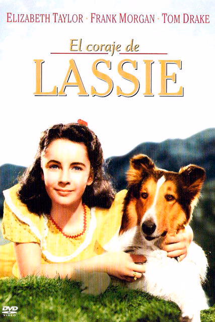 Póster de la película El coraje de Lassie