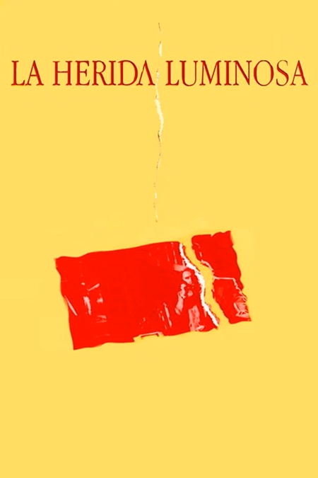 Póster de la película La herida luminosa