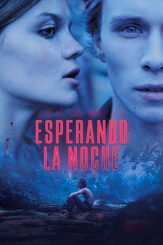 Póster de Esperando la noche