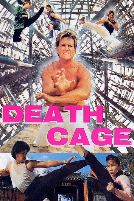 Póster de la película Zhan long