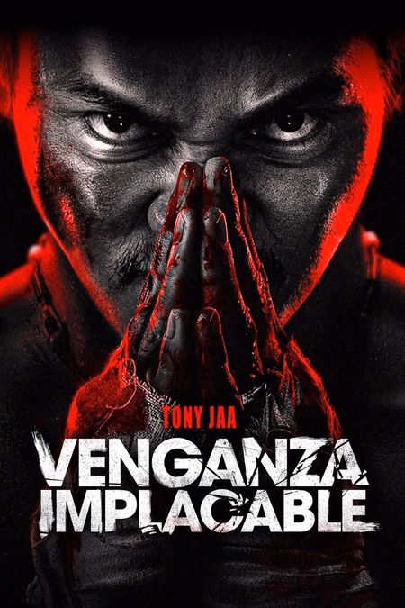 Póster de la película Venganza implacable
