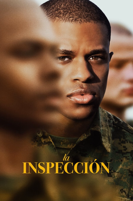 Póster de la película La inspección
