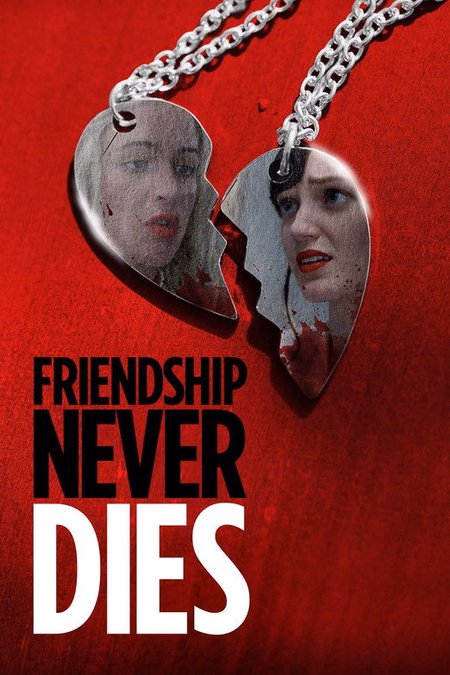 Póster de la película Amigas para siempre