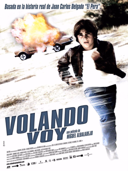 Póster de la película Volando voy