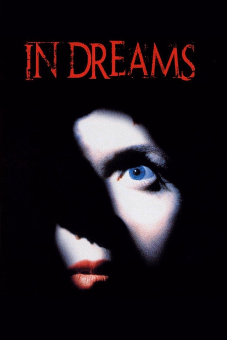 Póster de la película Dentro de mis sueños