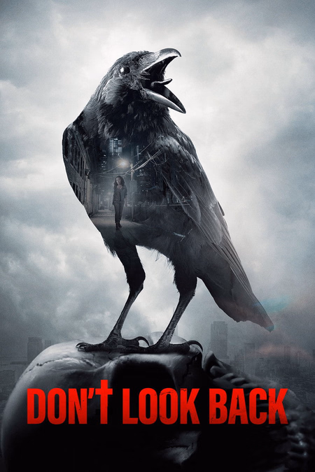 Póster de la película Don't Look Back