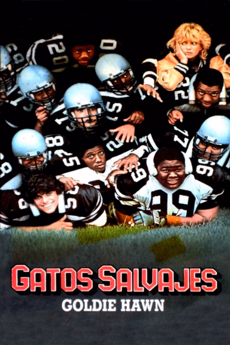 Póster de la película Gatos salvajes