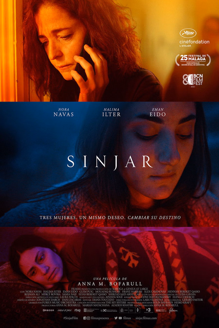 Póster de la película Sinjar