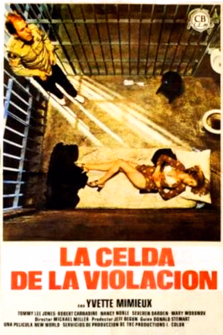 Póster de la película La celda de la violación