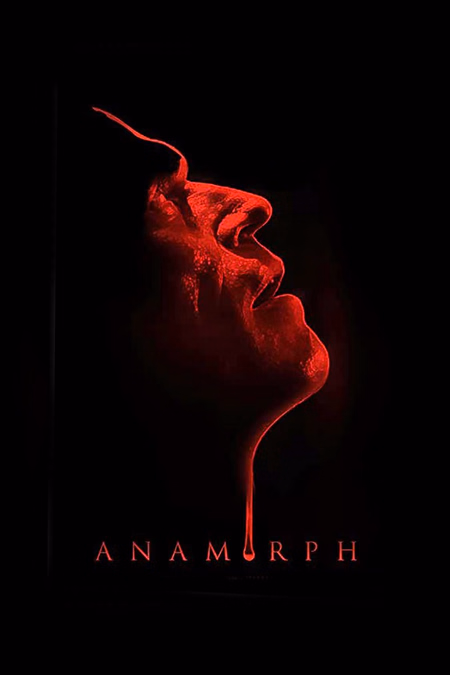 Póster de la película Anamorph