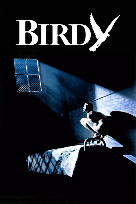 Póster de la película Birdy