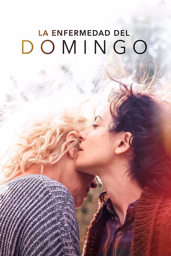 Póster de La enfermedad del domingo