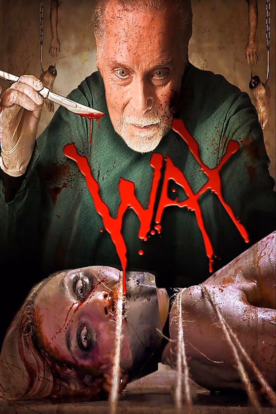 Póster de Wax