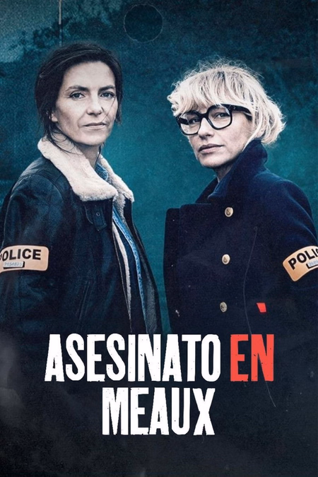 Póster de la película Asesinato en Meaux