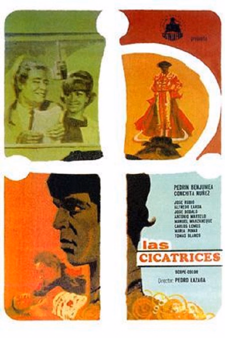 Póster de la película Las cicatrices