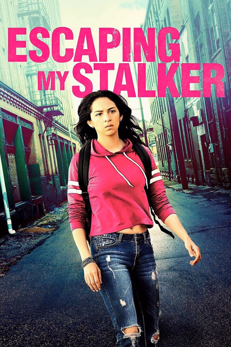 Póster de la película Obsesión: Huyendo de mi ex