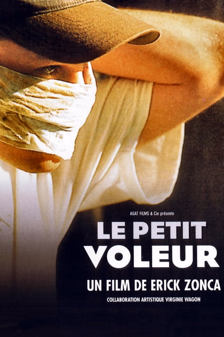 Póster de la película Le petit voleur