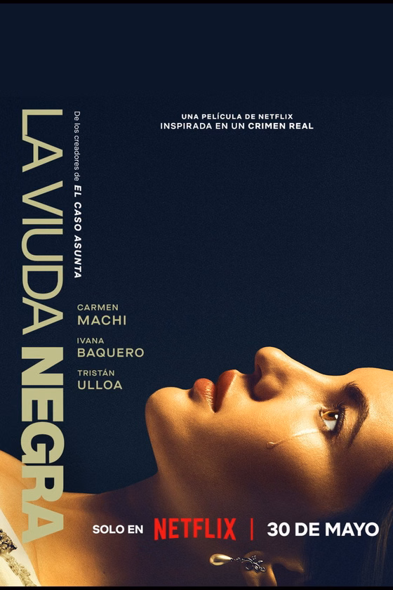Póster de La viuda negra