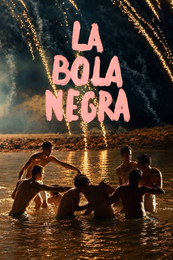 Póster de La bola negra