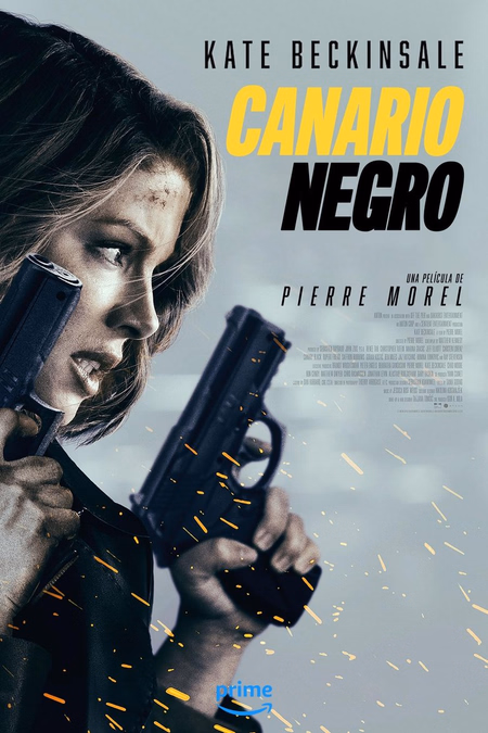 Póster de la película Canario Negro