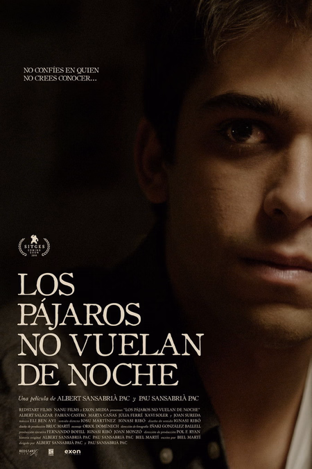Póster de la película Los pájaros no vuelan de noche