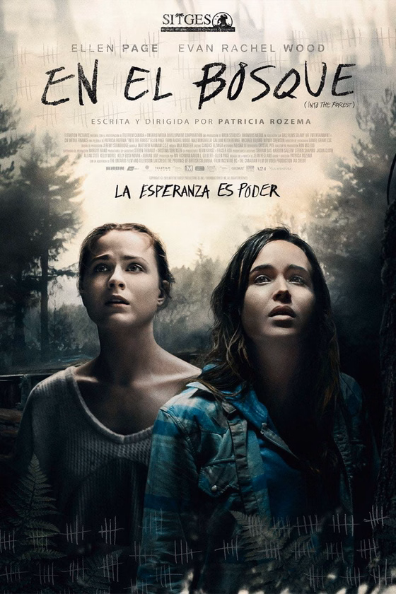 Póster de En el bosque