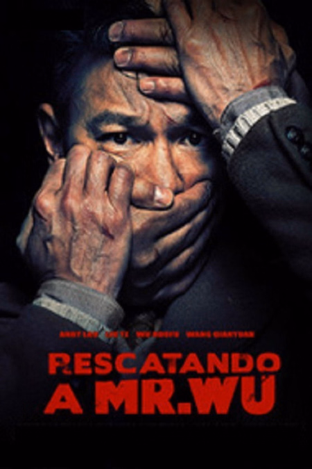 Póster de la película Rescatando a Mr. Wu