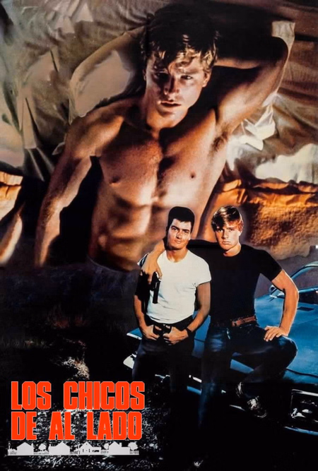 Póster de la película Los chicos de al lado