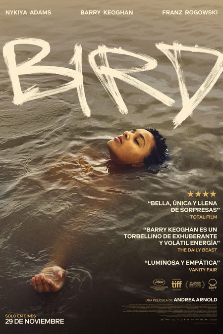 Póster de la película Bird