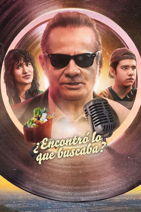 Póster de la película ¿Encontró lo que buscaba?
