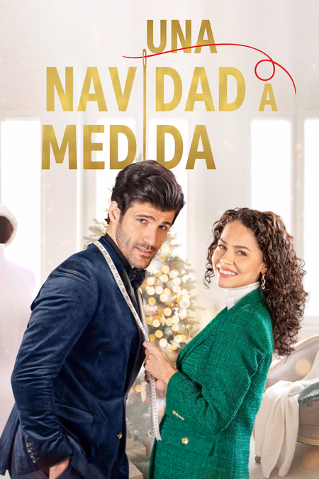 Póster de la película Una Navidad a medida
