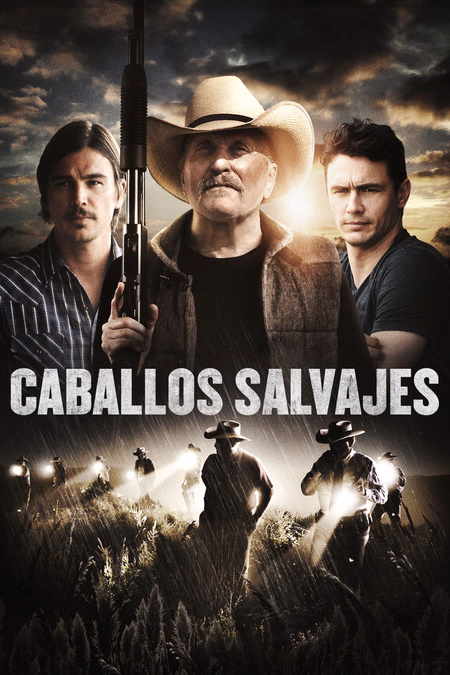 Póster de la película Caballos salvajes