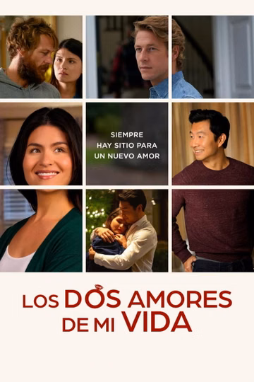 Póster de Los dos amores de mi vida