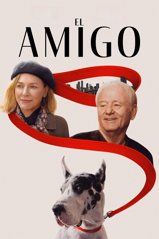 Póster de El Amigo