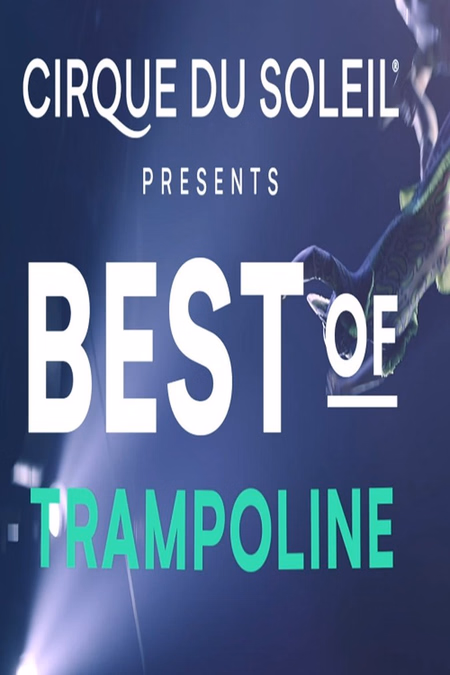 Póster de la película Cirque du soleil: Best of Trampoline