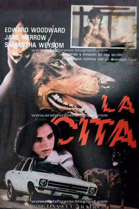 Póster de la película La cita