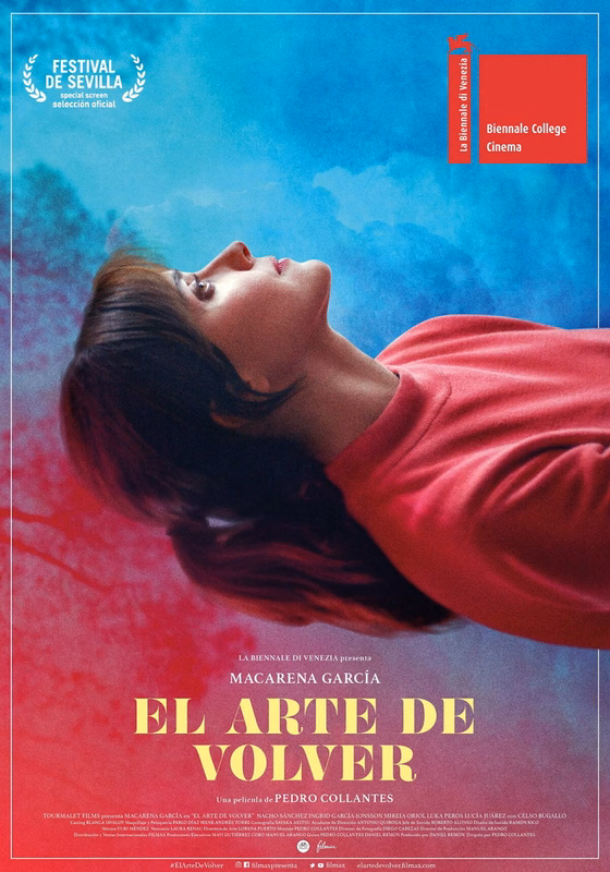 Póster de El arte de volver