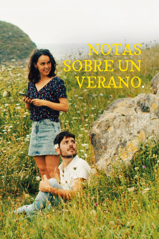 Póster de Notas sobre un verano