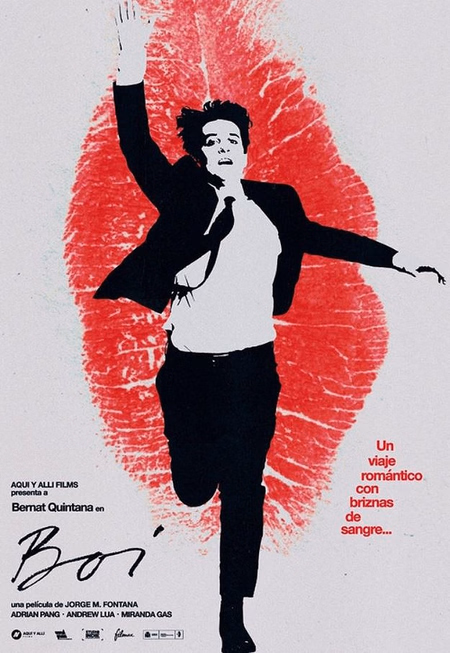 Póster de la película Boi