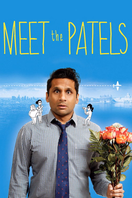 Póster de la película Meet the Patels