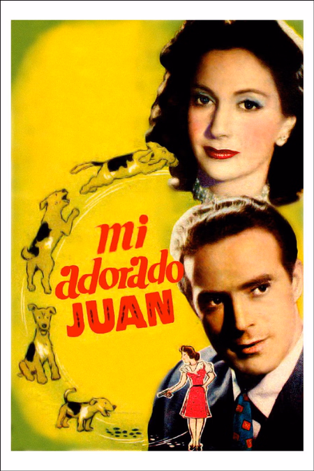Póster de la película Mi adorado Juan