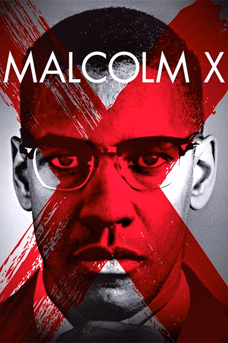 Póster de la película Malcolm X