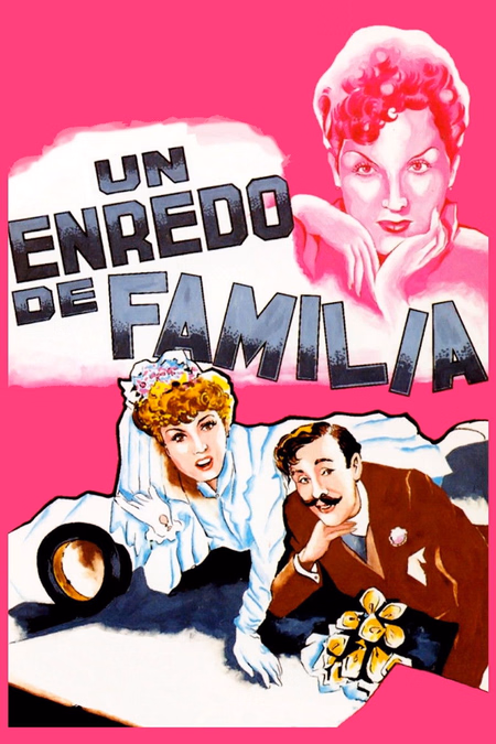 Póster de la película Un enredo de familia