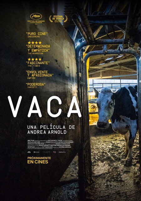 Póster de la película Vaca