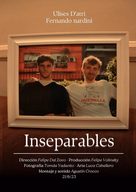 Póster de la película Inseparables