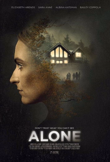 Póster de la película Alone